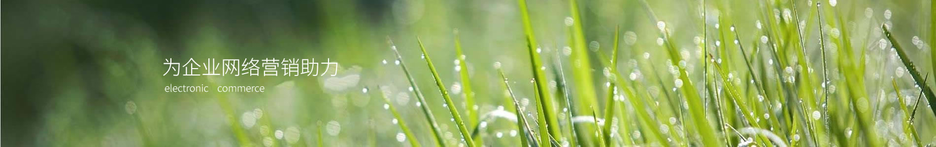 ԣƼ޹˾